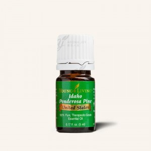 Idaho Ponderosa Pine 愛達荷州黃松